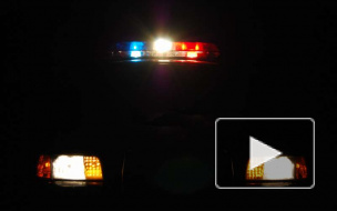 В Петербурге со стрельбой угнали "КамАЗ" со свининой на 3,2 млн рублей