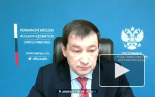 Дипломаты РФ и КНР попрощались с покидающим СБ ООН постпредом ФРГ словами Жванецкого