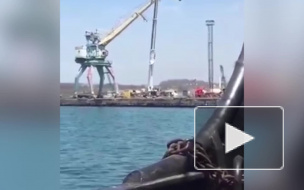 Видео из Приморья: на заводе от ветра рухнул портовый кран 