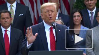 Трамп назвал закрытие школ из-за COVID-19 "политическим абсурдом"