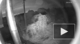 Жители Самары сняли на видео падение метеорита