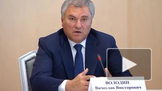 Володин предложил проанализировать международные соглашения на соответствие конституции