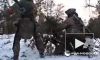 РИА Новости: российские десантники предотвратили прорыв противника в ЛНР