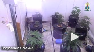В Нижнем Новгороде вынесен приговор наркосбытчику