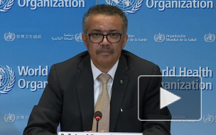 ВОЗ сочла коронавирус в десять раз смертельнее свиного гриппа