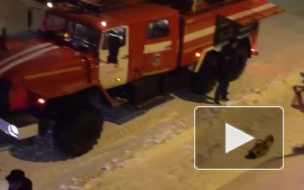 Видео: страшный пожар на складе в Подмосковье тушат сто человек