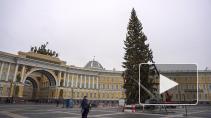 Piter.TV узнал, почему елка на Дворцовой стоит 13 миллионов