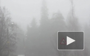 В Петербурге не могут найти источник химического запаха в Коломягах