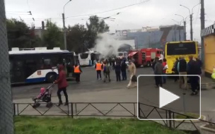 Петербуржцев напугал полыхающий троллейбус у «Старой Деревни»