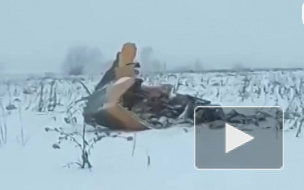 Появилось первое видео с места крушения самолета АН-148 в Подмосковье