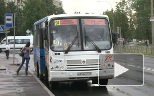 Нелегалы катают петербуржцев сказочными маршрутами