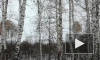 Появилось видео первых метелей в Кузбассе и Новосибирске