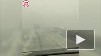 В Курганской области трассу накрыло смогом из-за пожаров 