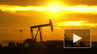 Счетная палата проверит "Ростех", "Роснефтегаз" и "Газпром" в 2020