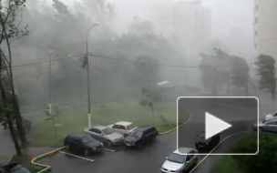 Штормовое предупреждение объявлено в Москве