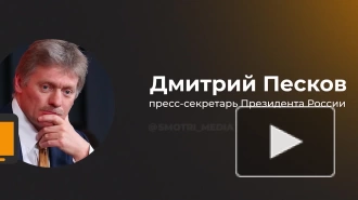 Песков назвал проблемы с YouTube не приоритетными для россиян