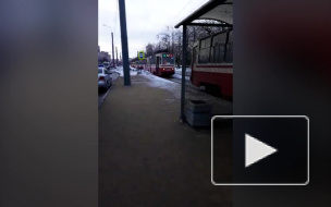 Женщина попала под трамвай на юге Петербурга