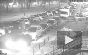 В Горелово заметили "Кинг-Конгов", бродящих по машинам