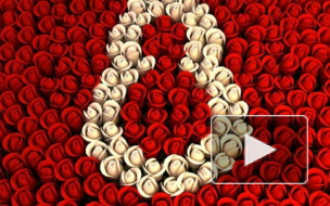 8 Марта: прикольные поздравления с праздником для мамы, жены и дочери