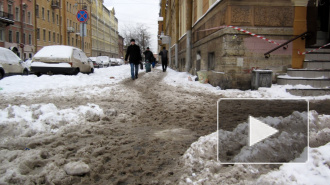 Депутаты ЗакСа: петербуржцам надоела дорогостоящая уличная слякоть и грязь