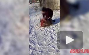 Полиция Приамурья начала проверку из-за видео с дракой студенток