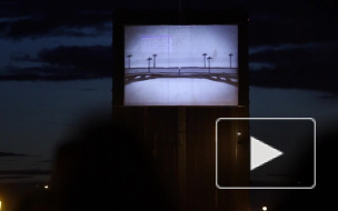 В ночь с 29 на 30 августа Троицкий мост разведут раньше обычного для показа мульфильмов