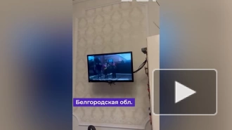 В Белгородской области в телеэфире показали выступление Зеленского
