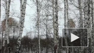 Появилось видео первых метелей в Кузбассе и Новосибирске