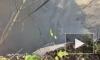 Загрязнение Невы в районе Большеохтинского моста ликвидировали
