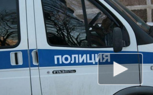 Пьяный петербуржец с битой избил стритрейсеров на Пулковском шоссе