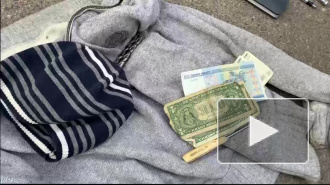 В Петербурге задержали двух профессиональных барсеточников