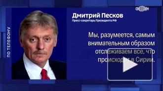 Кремль не располагает информацией о публичной казни двоюродного брата Асада в Сирии