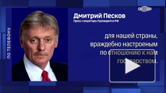 Песков заявил, что Литва имеет территориальные притязания к РФ