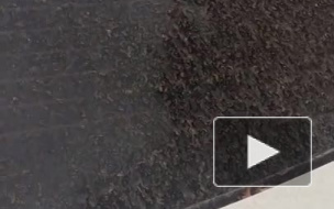 Появилось видео, как в Сочи полил дождь из грязи
