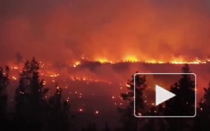 В Челябинской области лесные пожары уничтожили 71 строение