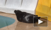 Видео: ладожский нерпенок Дубровский загорает у бассейна