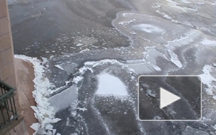 В Петербурге четвертые сутки идут поиски утонувшего школьника