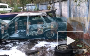Видео: на проспекте Просвещения сгорел "ВАЗ"