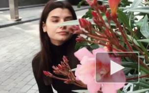 Петр Федоров и Анна Соколова опубликовали совместные фотографии с отдыха на Шри-Ланке