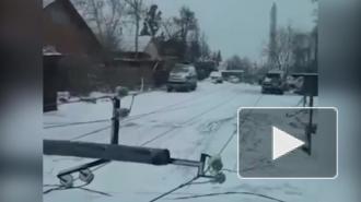 В Петропавловске-Камчатском из-за ветра отменили занятия в школах