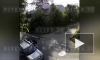 ДТП с иномаркой и скутером в Усть-Ижоре попало на видео