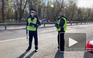 В МВД предложили изменить водительские права и ПТС