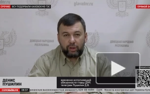 Пушилин: ВСУ после попыток прорыва в ДНР накануне были отброшены, неся потери