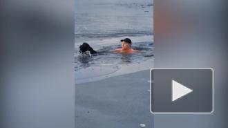 Бегун прыгнул в замерзшее озеро ради спасения чужой собаки