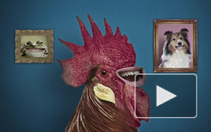 Little Big перенесла презентацию песни для "Евровидения"