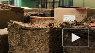 В России предложили создать единого регулятора табачного рынка