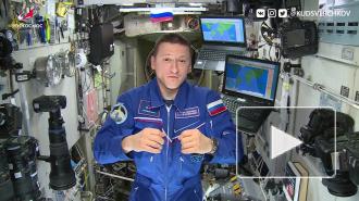 Космонавт с МКС рассказал, что не видел НЛО внеземного происхождения