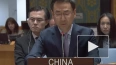 Постпредство КНР в ООН: ряд стран хотят скрыть данные ...