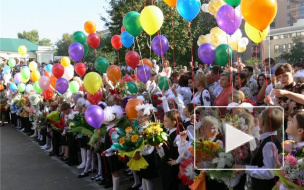 Петербургские родители готовятся к борьбе за образование