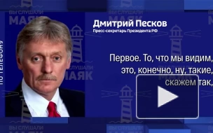 Песков: темпы прироста голосов в пользу Санду вызывают много вопросов